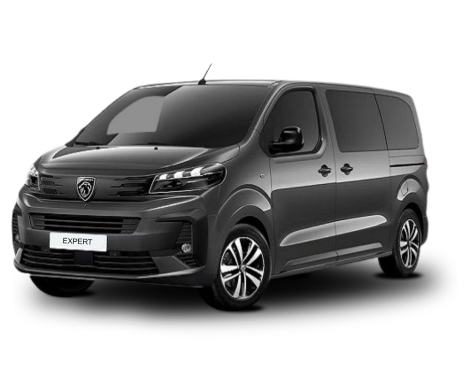 PEUGEOT EXPERT 8+1